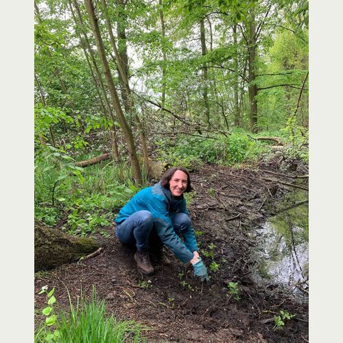 Viele Blumen der Jahre können im Wilhelmsburger Inselpark entdeckt werden. Jetzt gehört auch die Einbeere dazu. Svanja Holst, Loki Schmidt Stiftung, bei der Pflanzung.Foto Nina Schewe